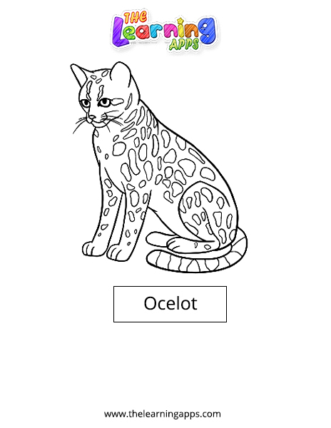 Ocelot