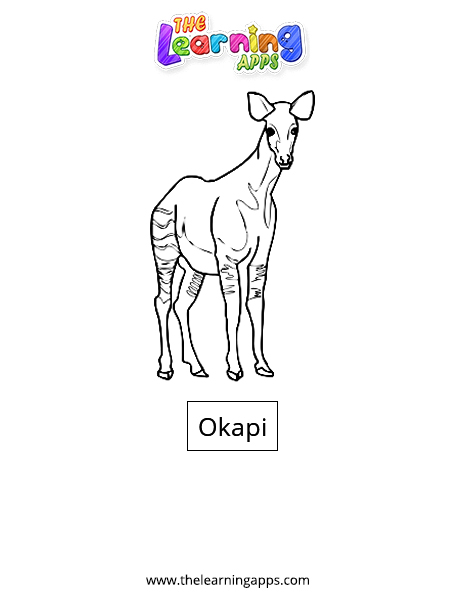 Okapi