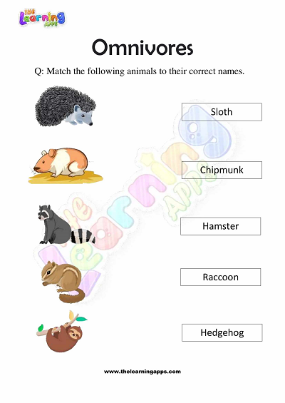 Omnivores Worksheets for Grade 3 – Activity 1