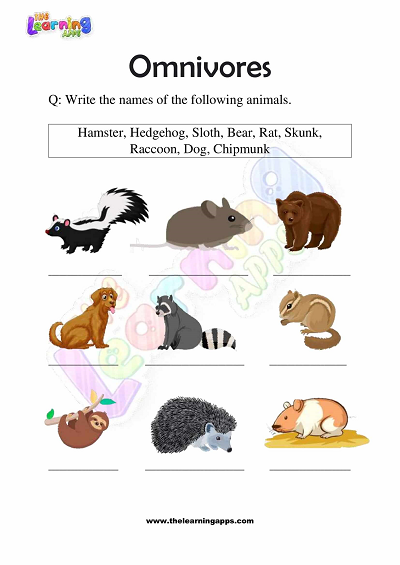 Omnivores Worksheets for Grade 3 – Activity 2