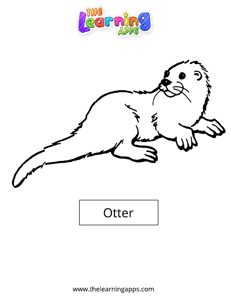 Otter