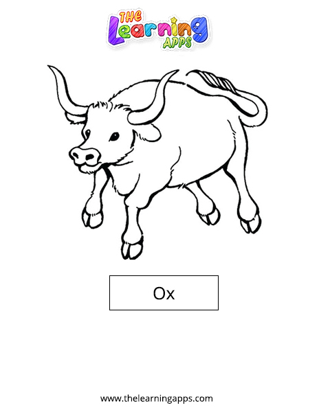 Ox