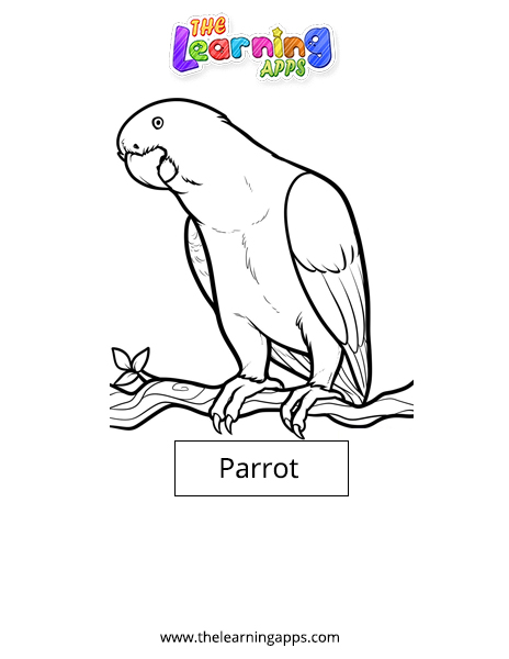 Parrot