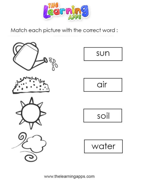 Plant Worksheets 03