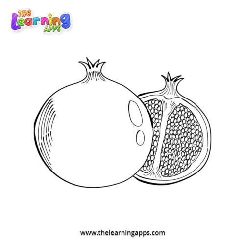 Pomegranate Coloring Worksheet