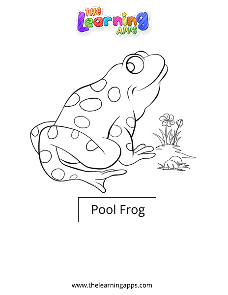 Pool Frog