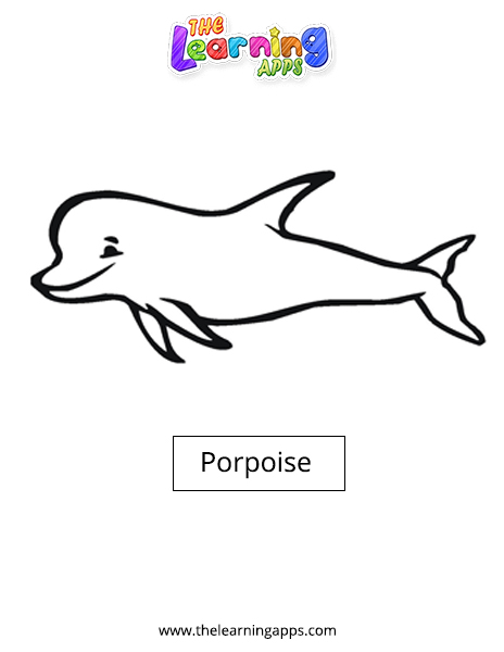 Porpoise