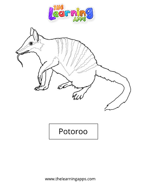 Potoroo