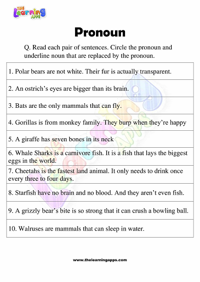 Pronoun-Worksheets-Grade-3-Activity-2