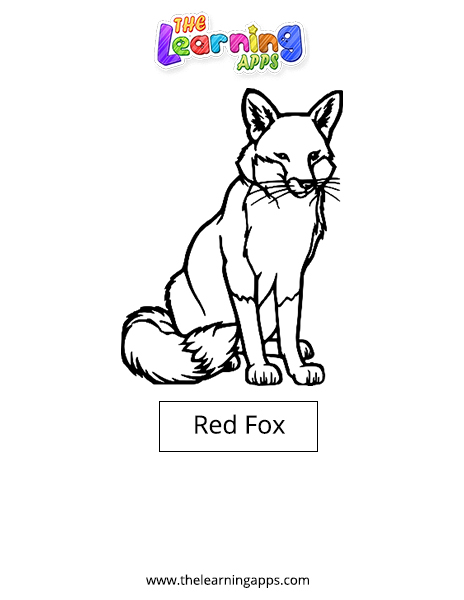 Red-Fox