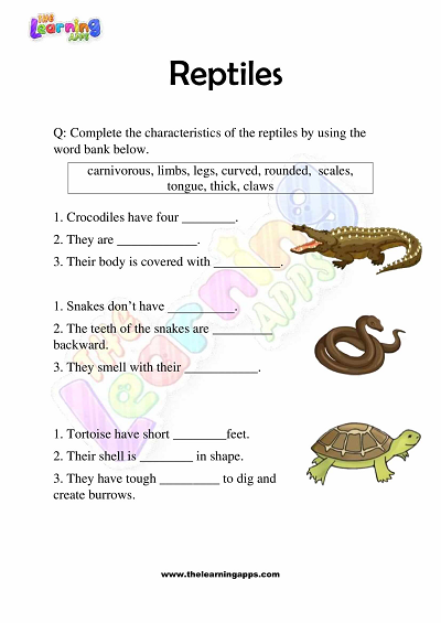 Reptiles Worksheets for Grade 3 – Activity 3
