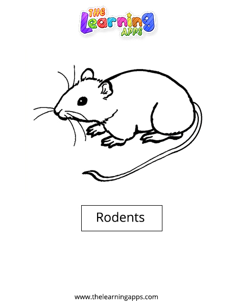 Rodents