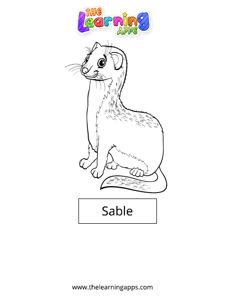 Sable