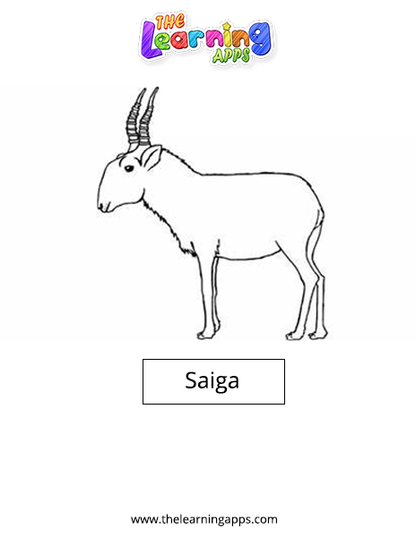 Saiga