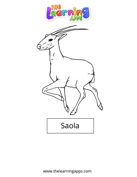 Saola