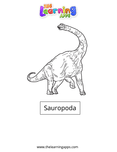 Sauropoda