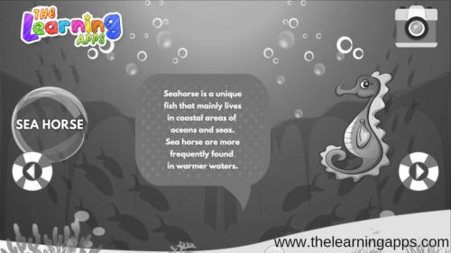 Sea horse-1