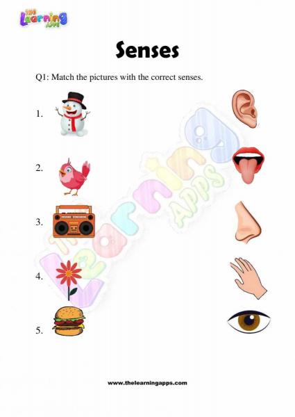 Senses Worksheet - Grade 2 - Activity 2