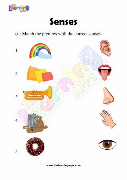 Senses Worksheet - Grade 2 - Activity 3