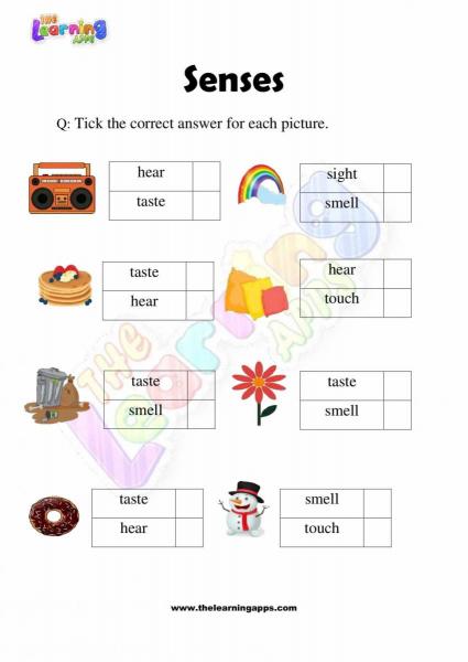 Senses Worksheet - Grade 2 - Activity 9