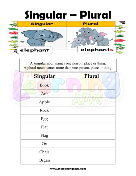 Singular Plural 3