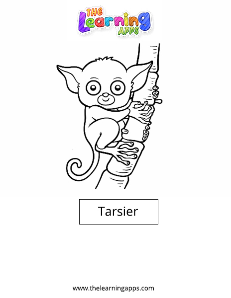 Tarsier