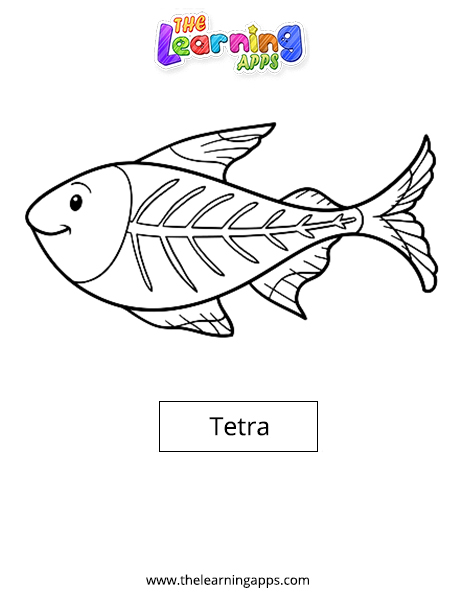 Tetra