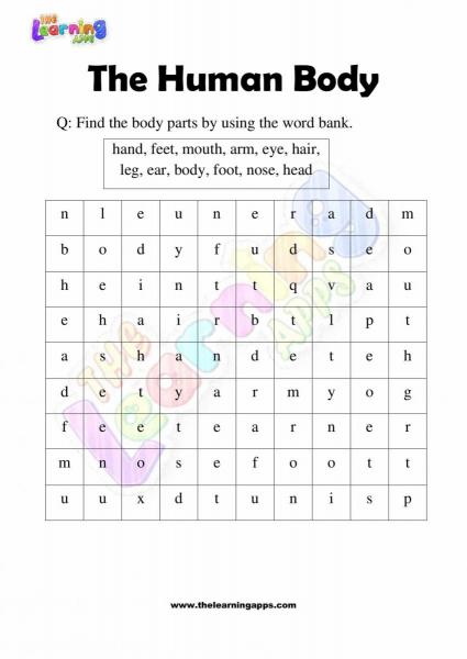 The Human Body - Grade 2 - Activity 10