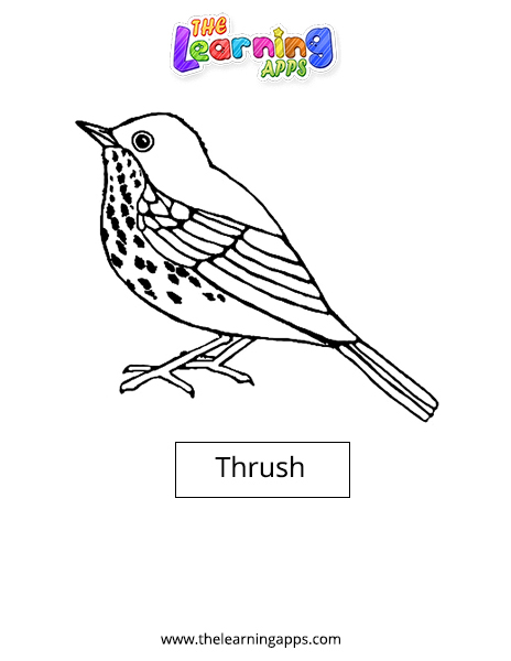 Thrush