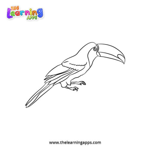 Toucan Coloring Worksheet