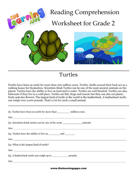 Turtles Comprehension