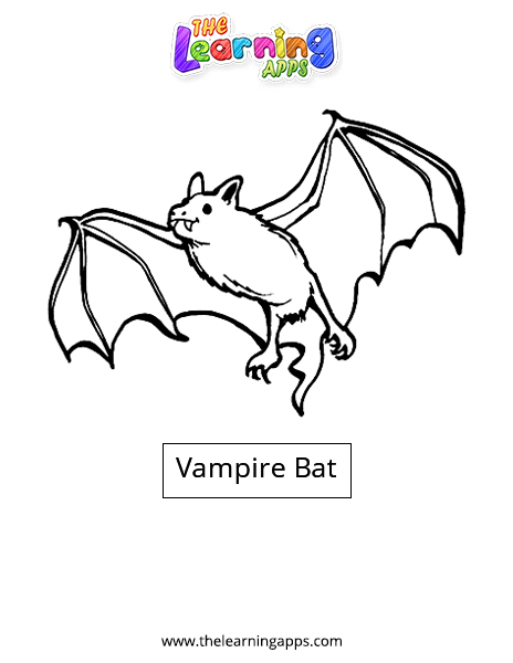 Vampire Bat