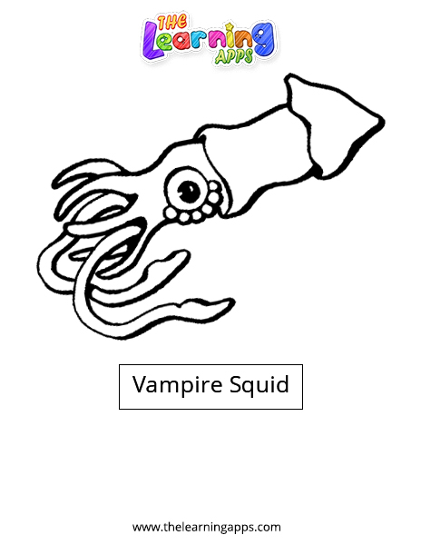 Vampire Squid