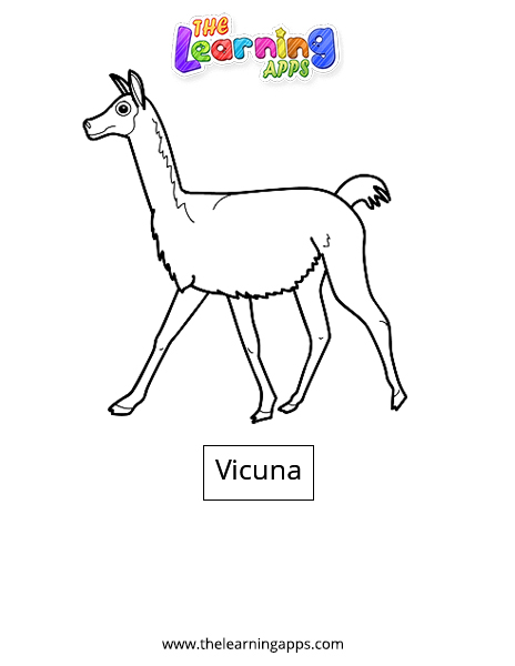 Vicuna