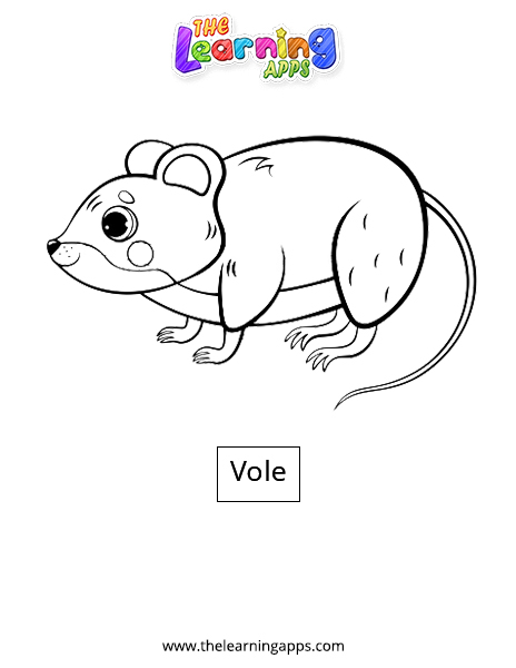 Vole