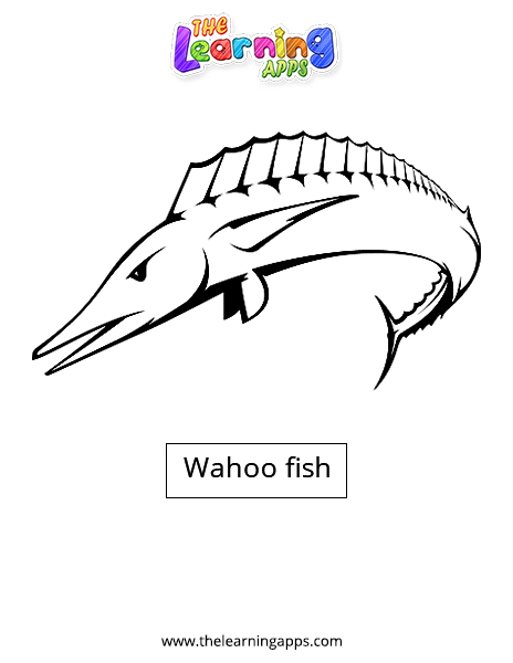 Wahoo Fish