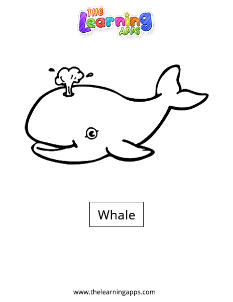 Whale