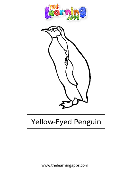 Yellow Eyed Penguin