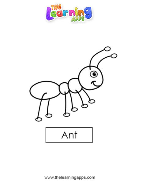 ant 06