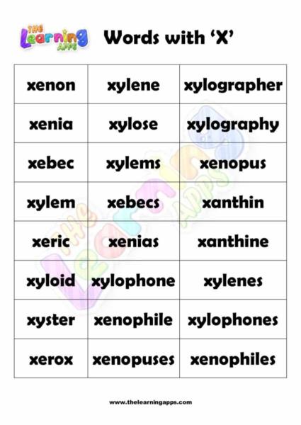 Words that Start with X 01